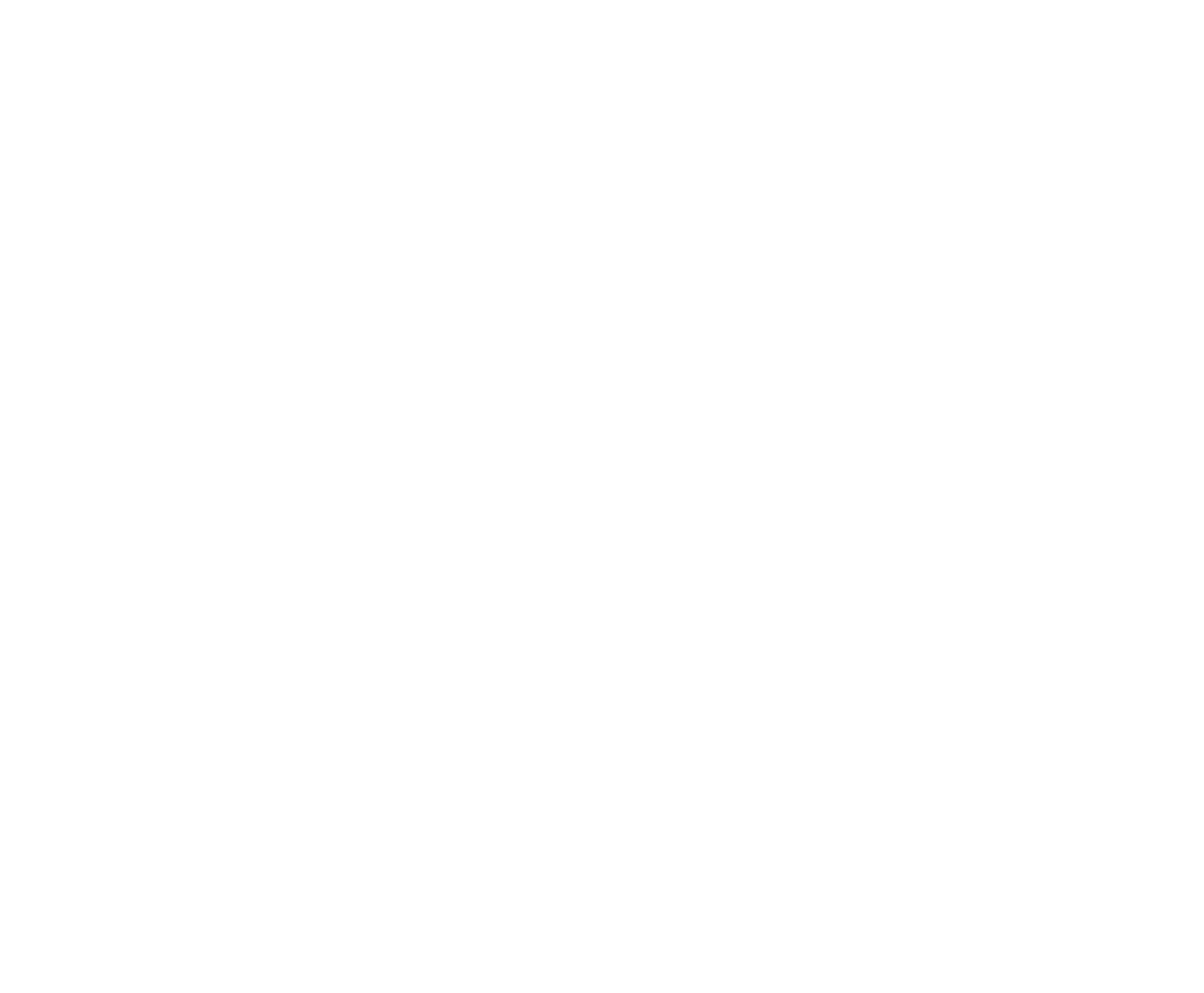 light logo