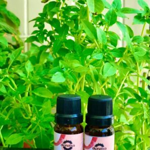 Óleo essencial de Sálvia Esclareia  (Salvia sclarea) 10ml